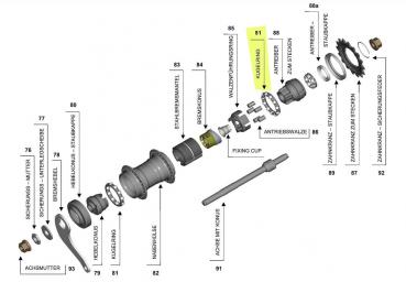 Kugelring Ø 39,7 mm, 1/4", 11 Kugeln