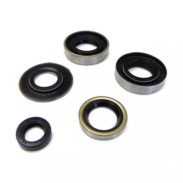 Sealing ring set SACHS 50/3 with kickstarter